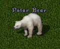 A polarbear.PNG