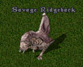 A savageridgeback.PNG