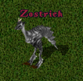 A zostrich.PNG