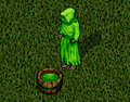 Grass.png