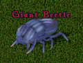 A giantbeetle.PNG